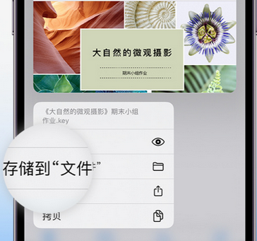 杏花岭apple维修中心分享iPhone文件应用中存储和找到下载文件