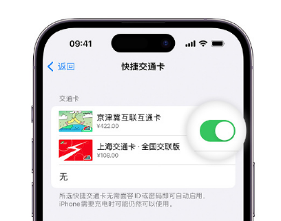 杏花岭apple维修点分享iPhone上更换Apple Pay快捷交通卡手绘卡面 