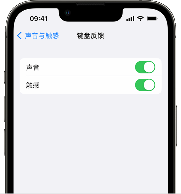 杏花岭苹果14维修店分享如何在 iPhone 14 机型中使用触感键盘 