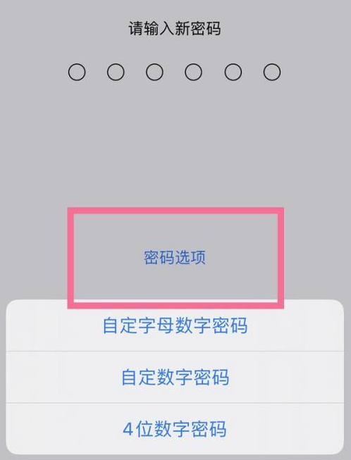 杏花岭苹果14维修分享iPhone 14plus设置密码的方法 