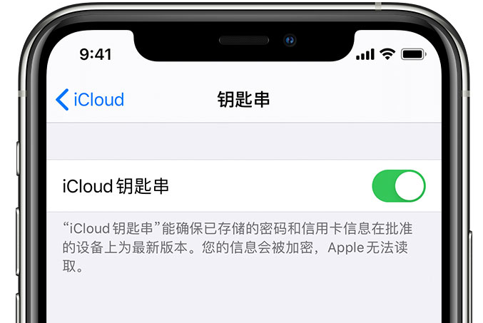 杏花岭苹果手机维修分享在 iPhone 上开启 iCloud 钥匙串之后会储存哪些信息 